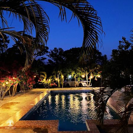 Choclino Ecolodge -Bungalows 塔拉波托 外观 照片