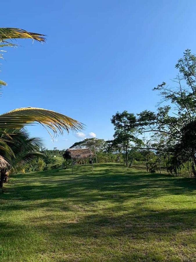 Choclino Ecolodge -Bungalows 塔拉波托 外观 照片