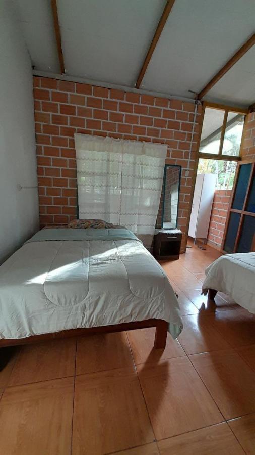 Choclino Ecolodge -Bungalows 塔拉波托 外观 照片