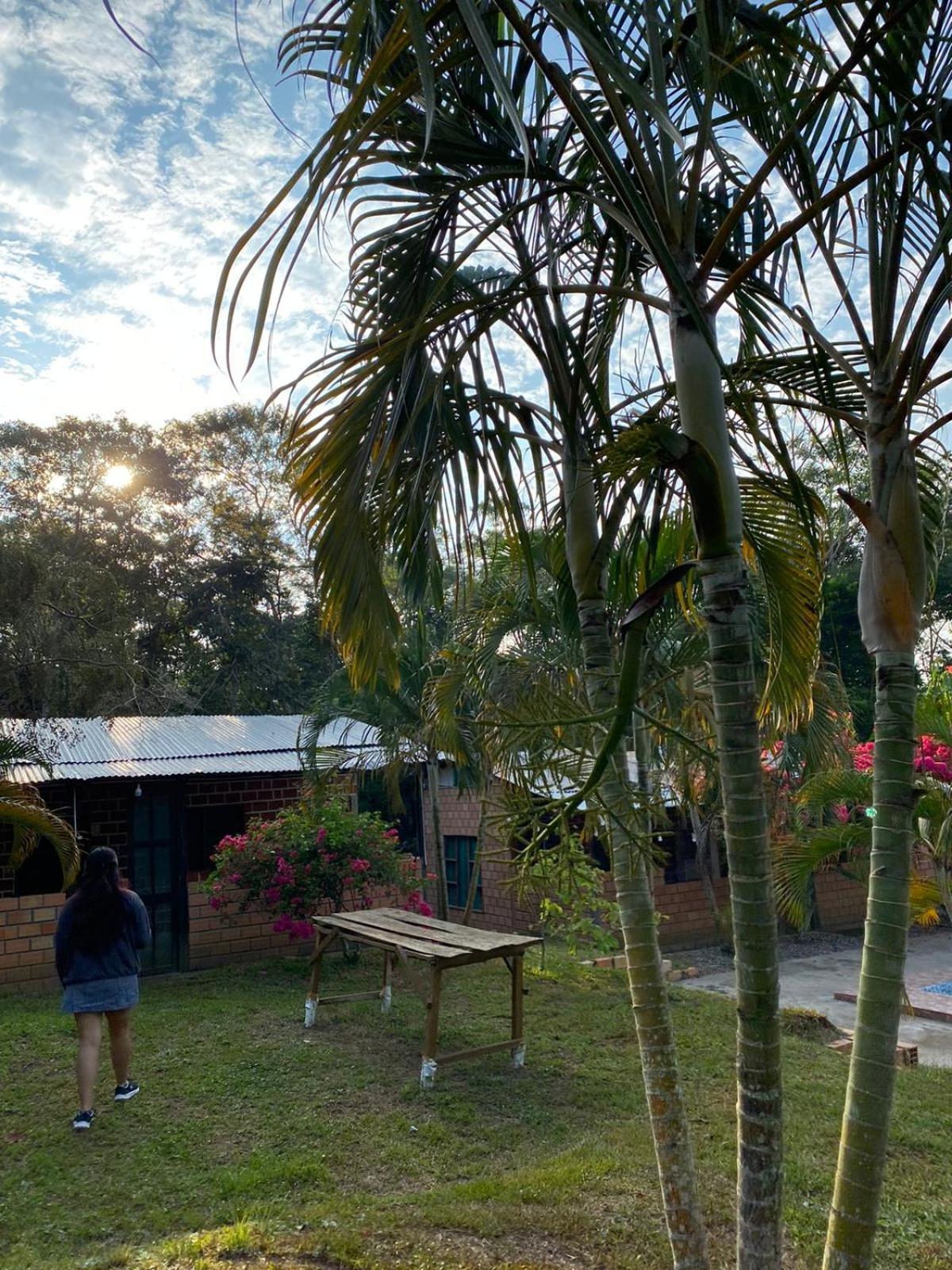Choclino Ecolodge -Bungalows 塔拉波托 外观 照片
