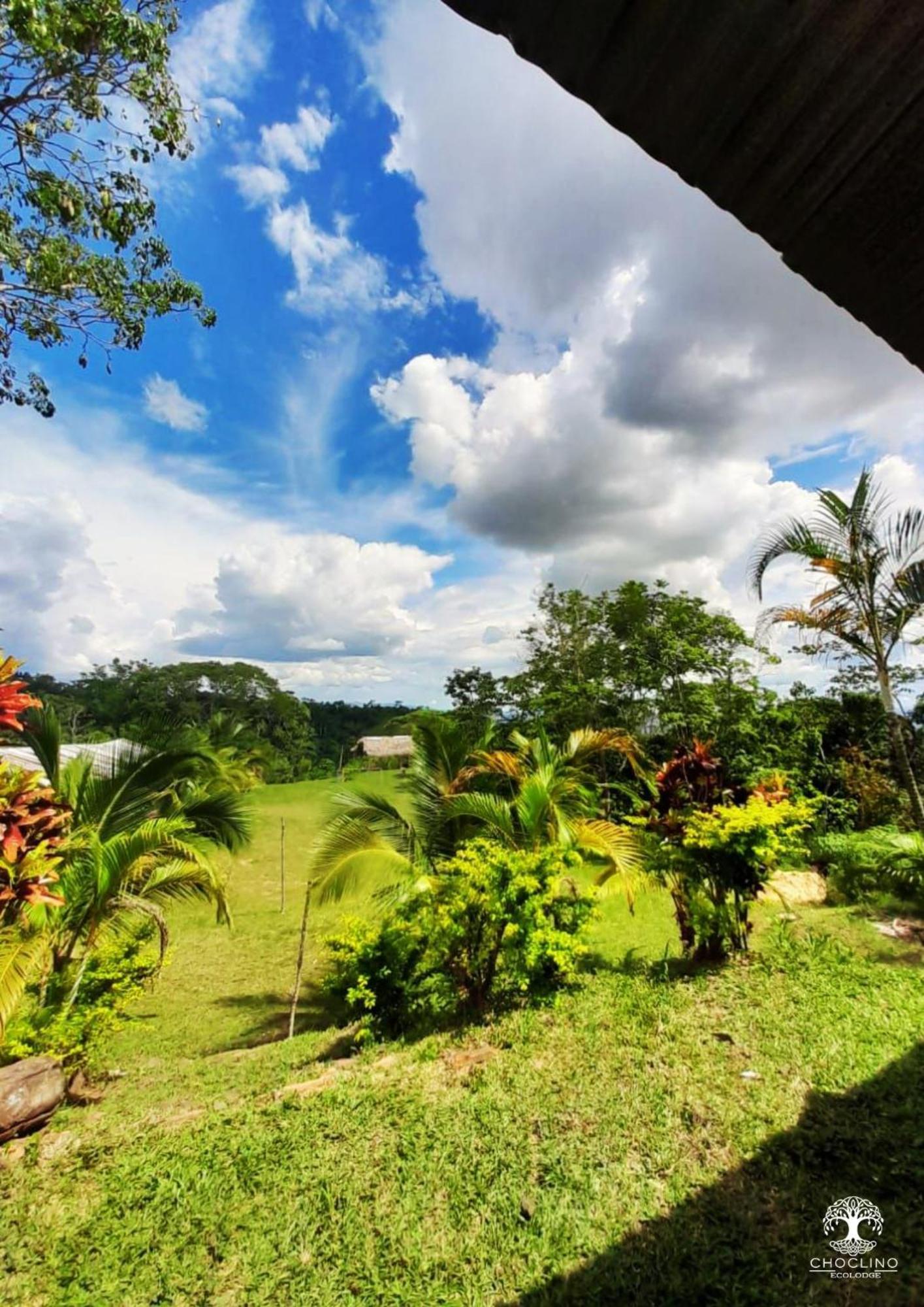 Choclino Ecolodge -Bungalows 塔拉波托 外观 照片