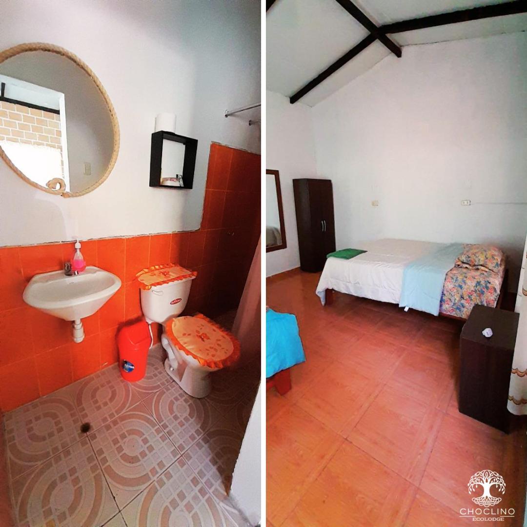 Choclino Ecolodge -Bungalows 塔拉波托 外观 照片
