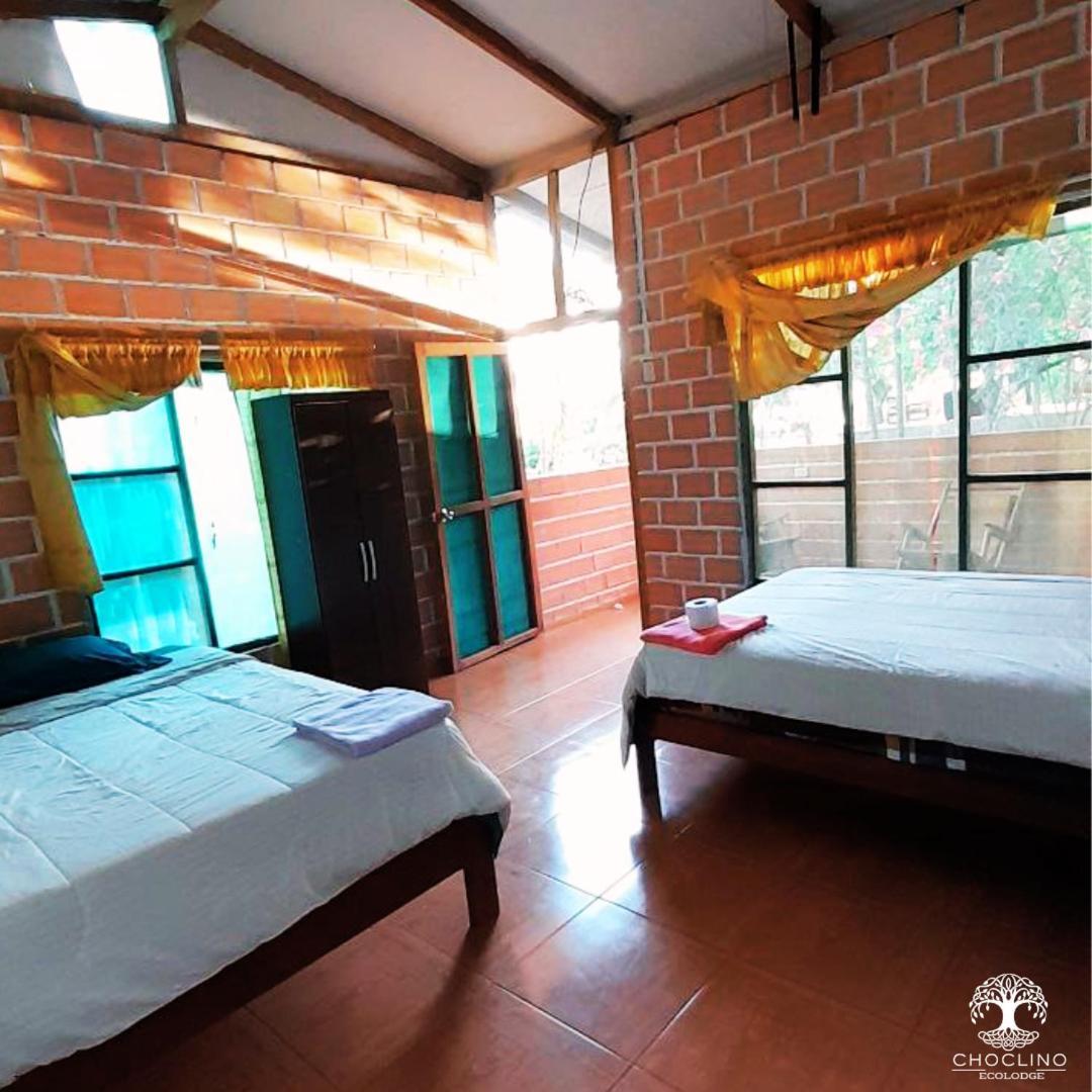 Choclino Ecolodge -Bungalows 塔拉波托 外观 照片