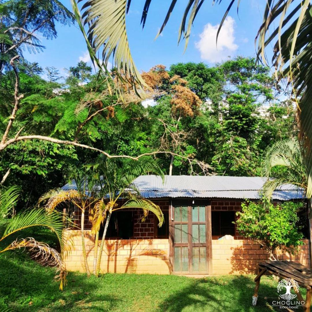 Choclino Ecolodge -Bungalows 塔拉波托 外观 照片