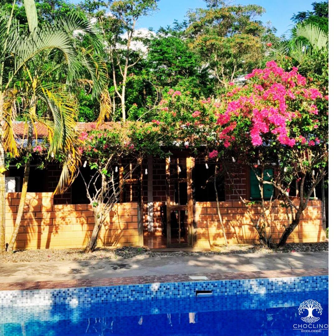 Choclino Ecolodge -Bungalows 塔拉波托 外观 照片