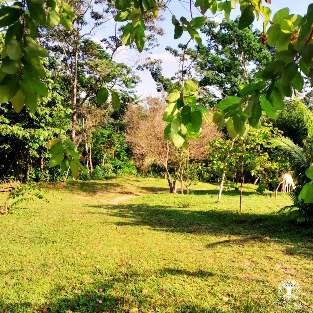Choclino Ecolodge -Bungalows 塔拉波托 外观 照片