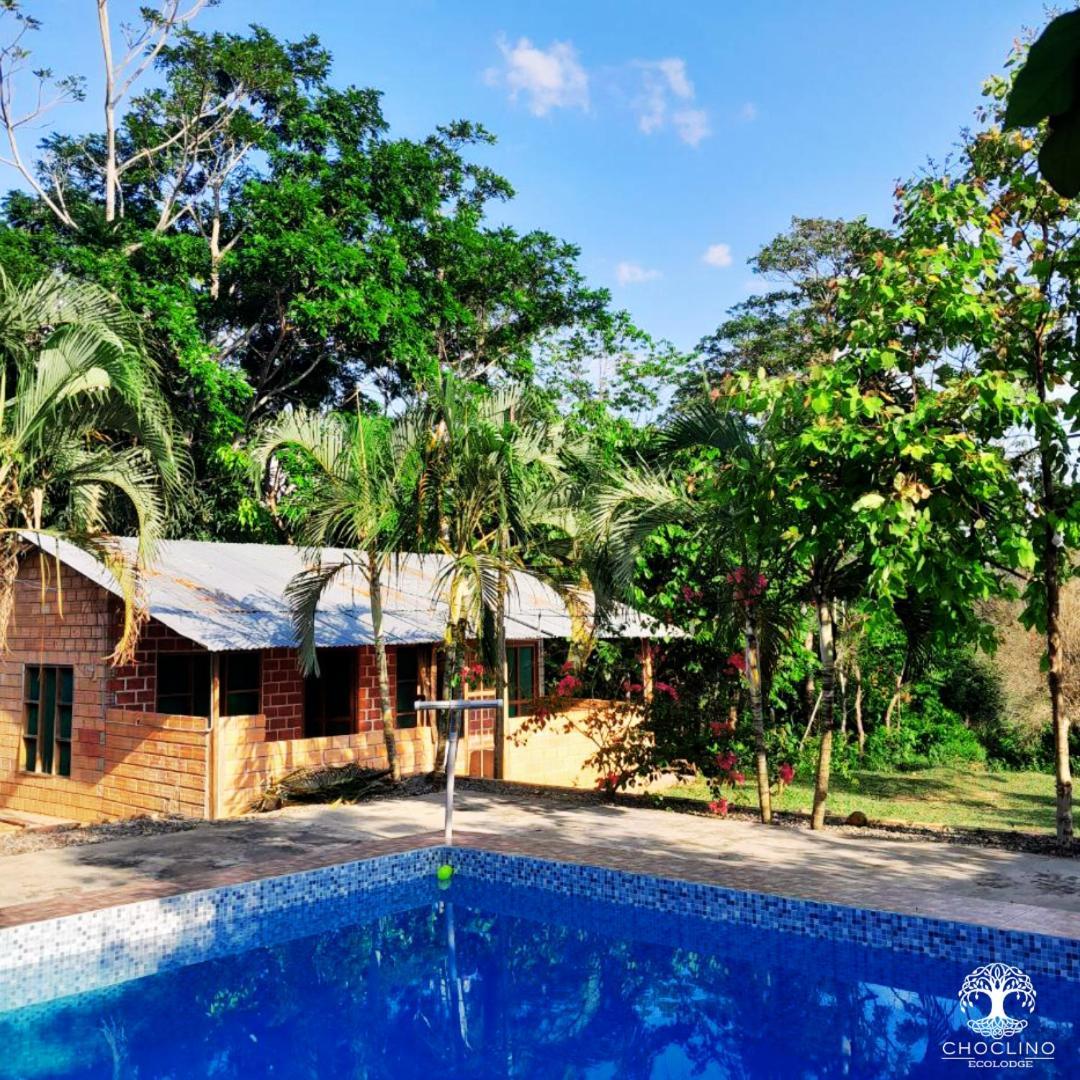 Choclino Ecolodge -Bungalows 塔拉波托 外观 照片