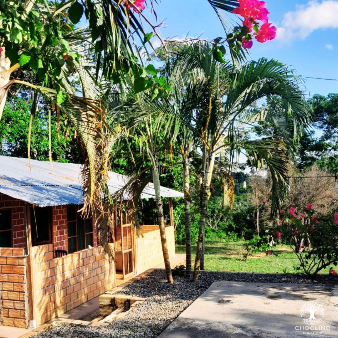Choclino Ecolodge -Bungalows 塔拉波托 外观 照片