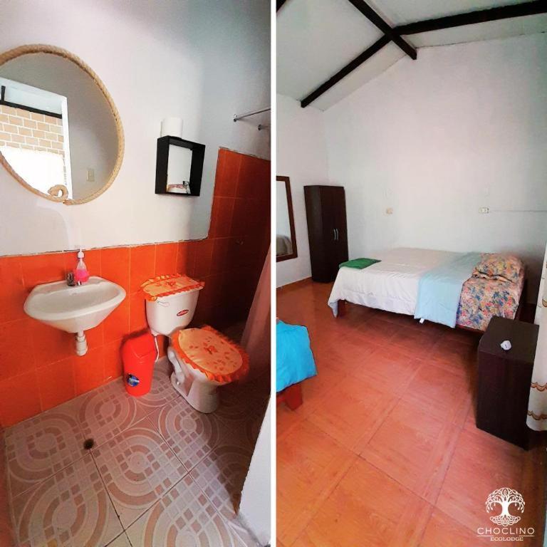 Choclino Ecolodge -Bungalows 塔拉波托 外观 照片