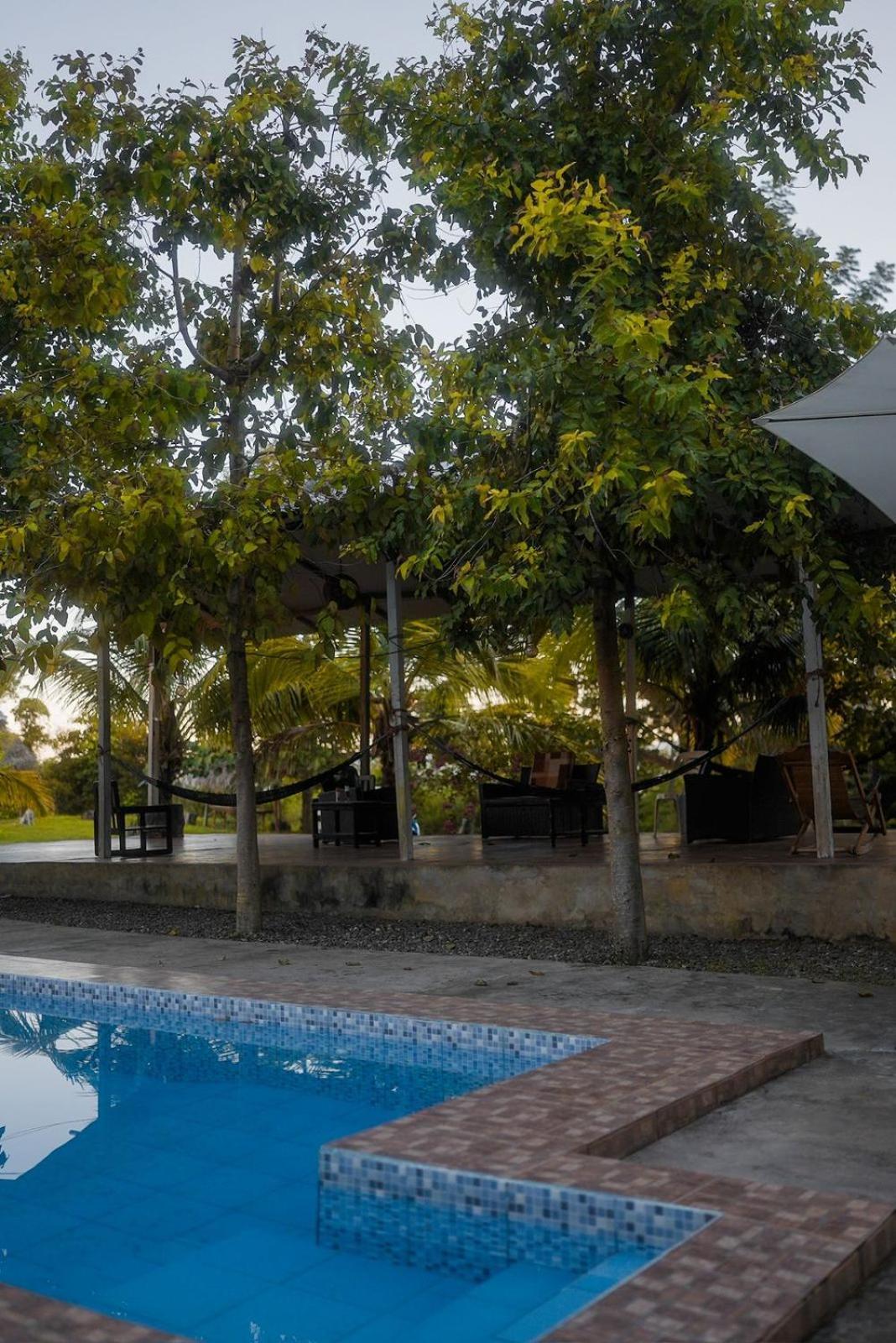 Choclino Ecolodge -Bungalows 塔拉波托 外观 照片