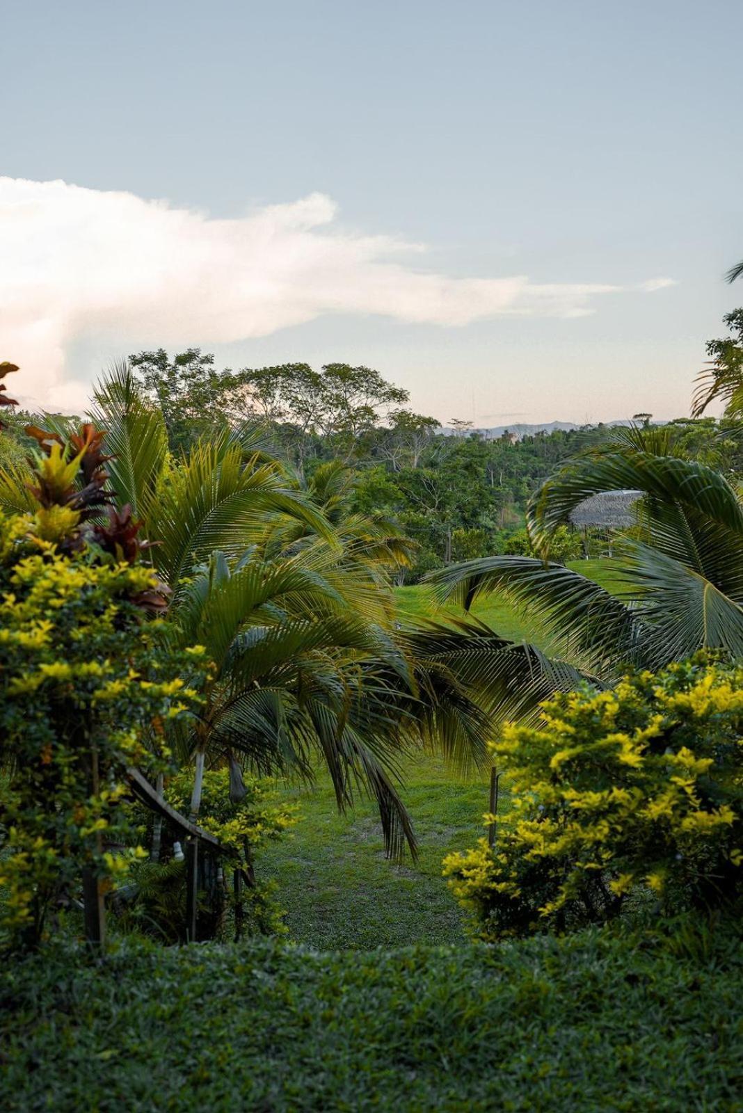 Choclino Ecolodge -Bungalows 塔拉波托 外观 照片